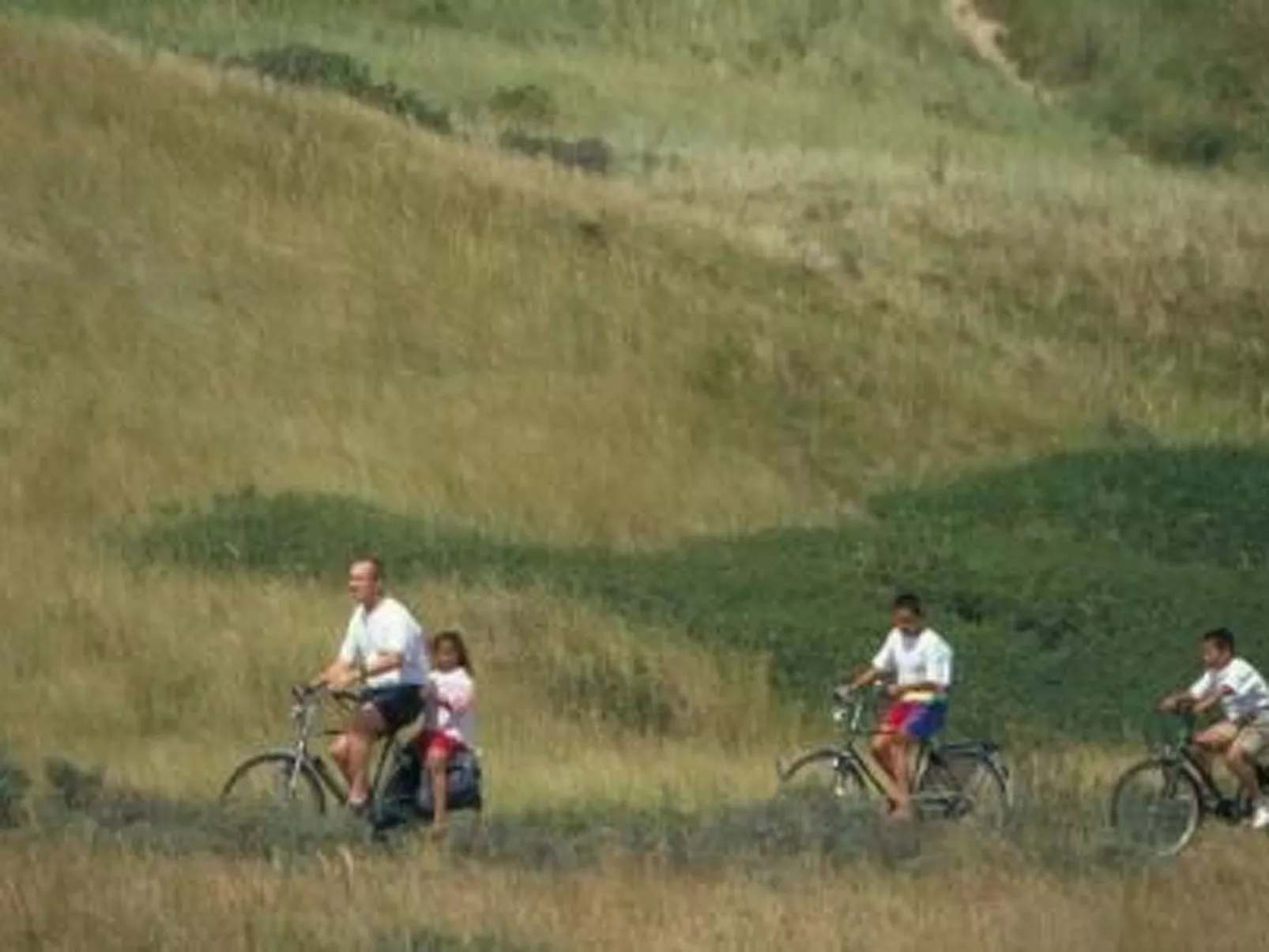 Ferienvilla mit Garten, Grill und Terrasse-Image-tags.info