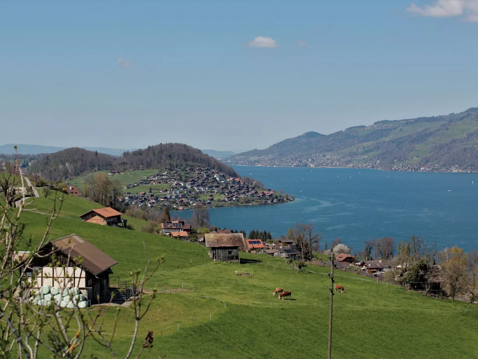 Seepark, direkt am See-Dehors