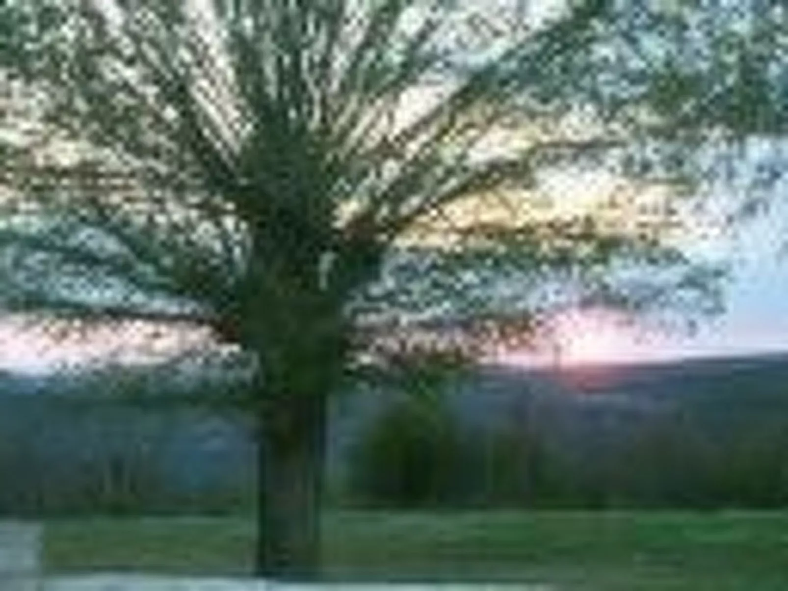 'Villa Grguci' mit eigener Terrasse-Dehors