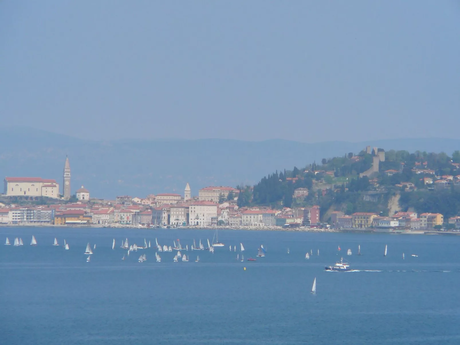 Villa del Golfo, Apartement mit Garten und Pool-Outside