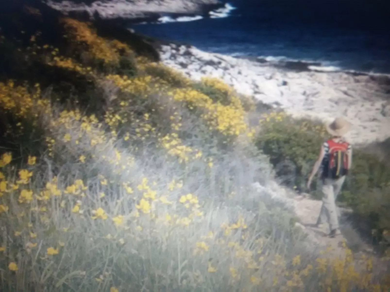 Geräumige Wohnung in der Nähe von Meer und Strand-Draußen