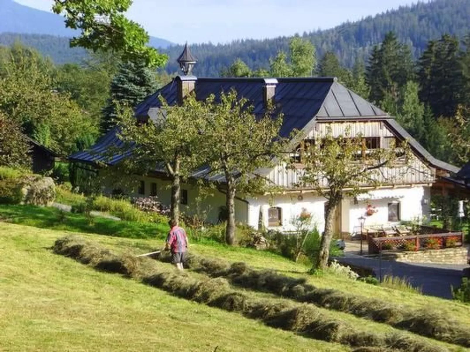 Große Wohnung in Bayerisch Eisenstein - Dehors