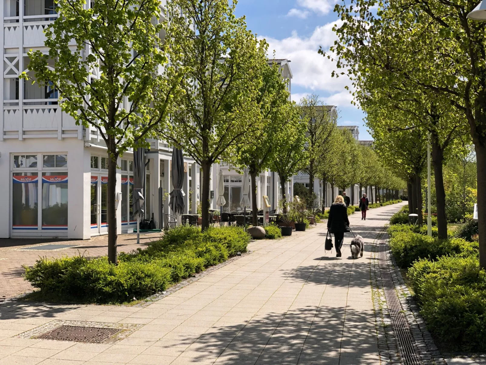 Dat Mitteltste 445-Dehors