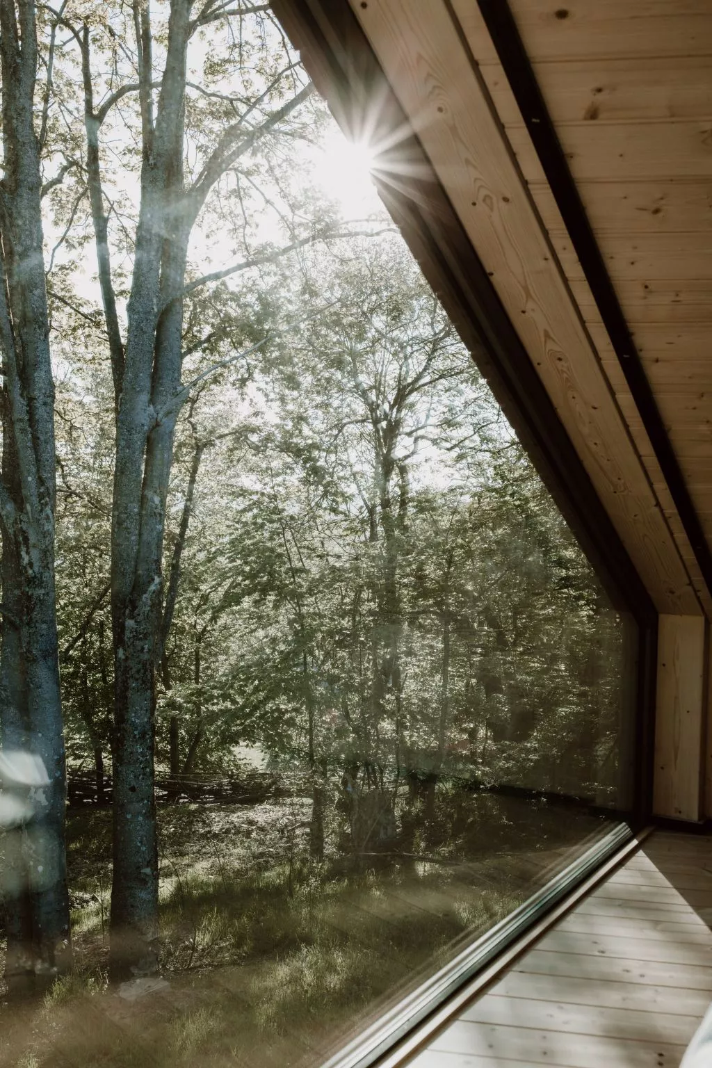 (XI) Cabin Cozy 4er - Draußen