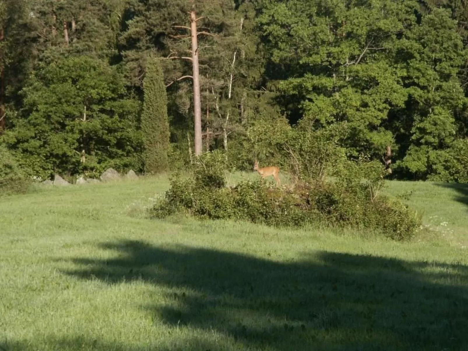 Idyllisches Bauernhaus in Småland-Outside