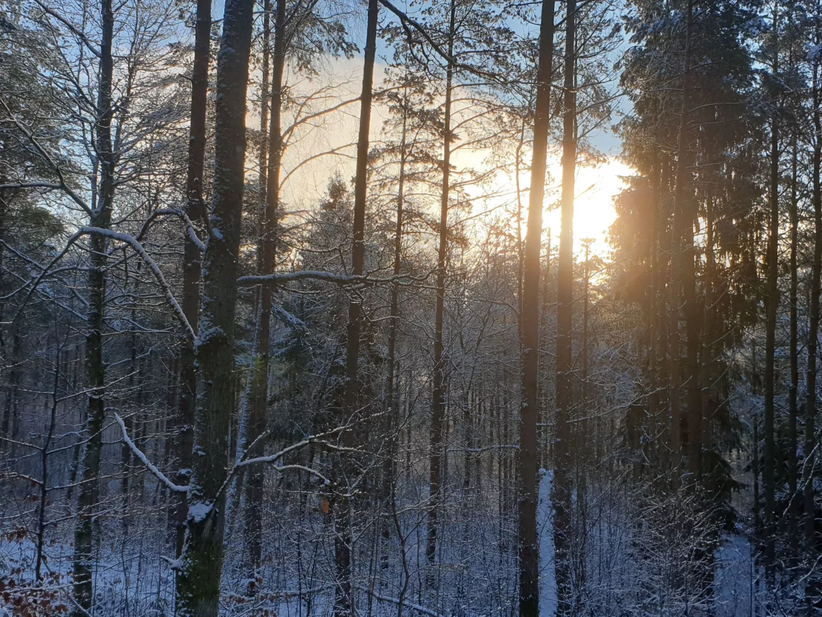 Mit Terrasse, Grill und Garten-Dehors