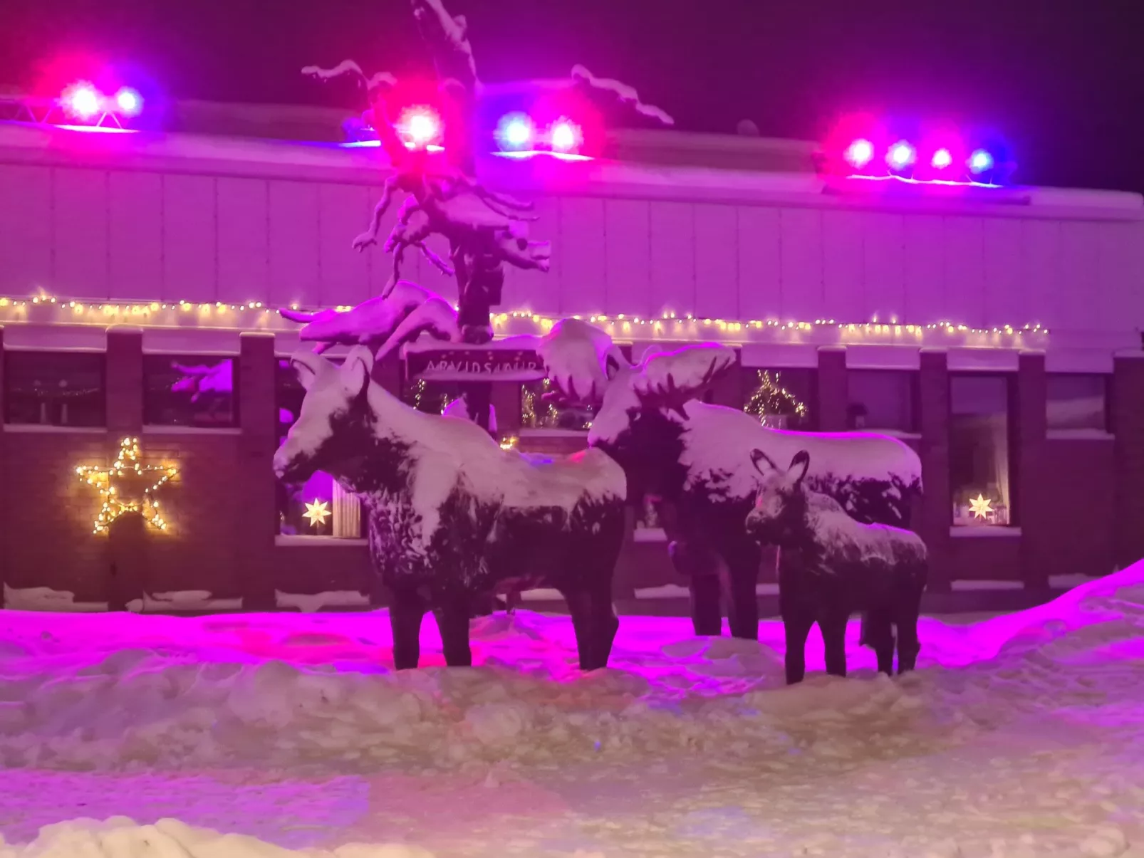 Haus-Lappland-Dehors