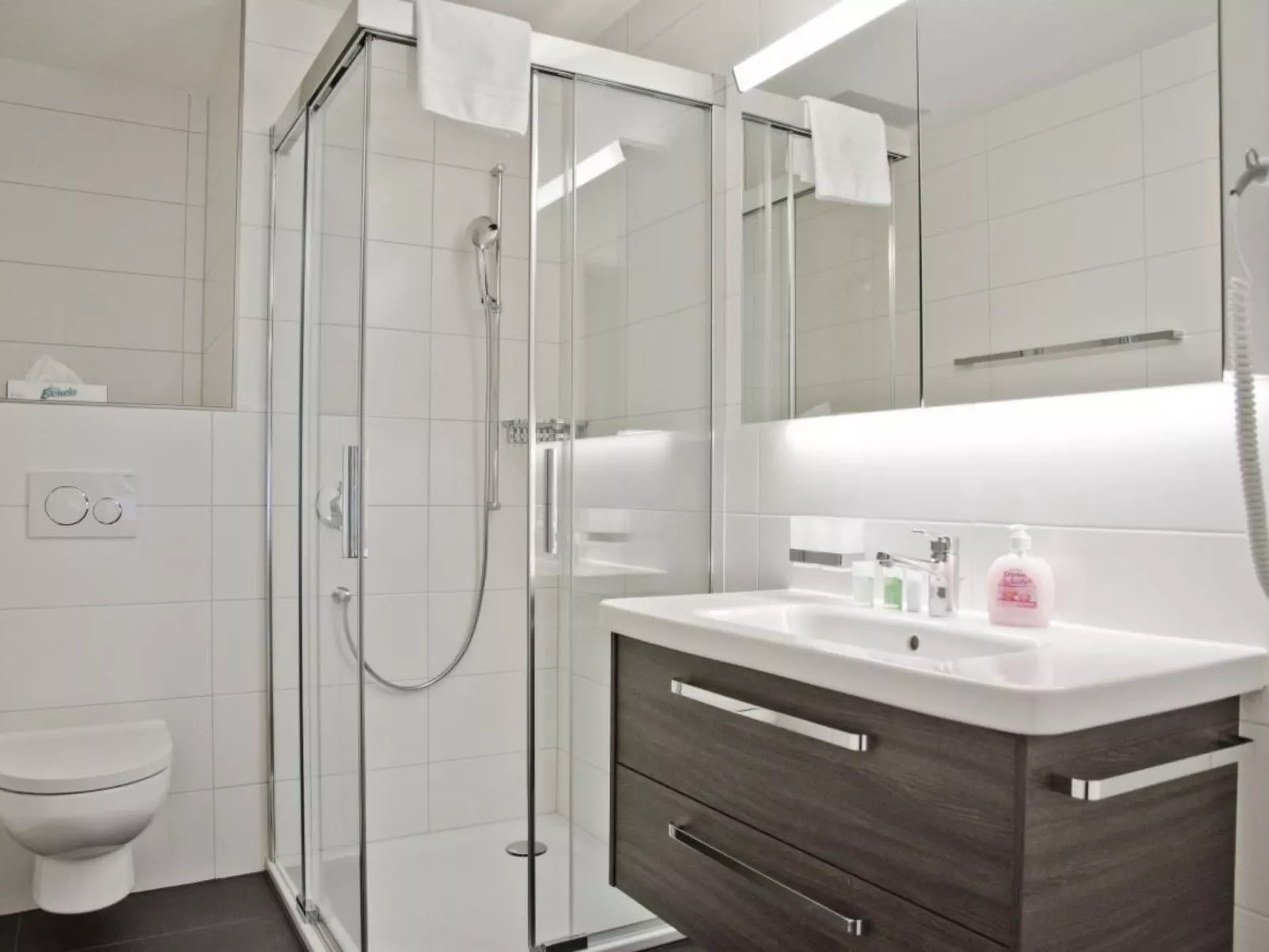 Apt. Alpeglöggli-Dedans