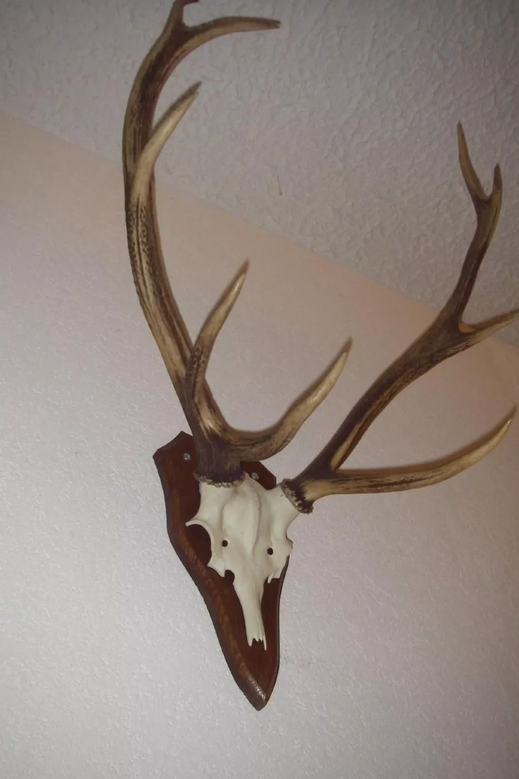 FeWo JUFA Grächen-Image-tags.info