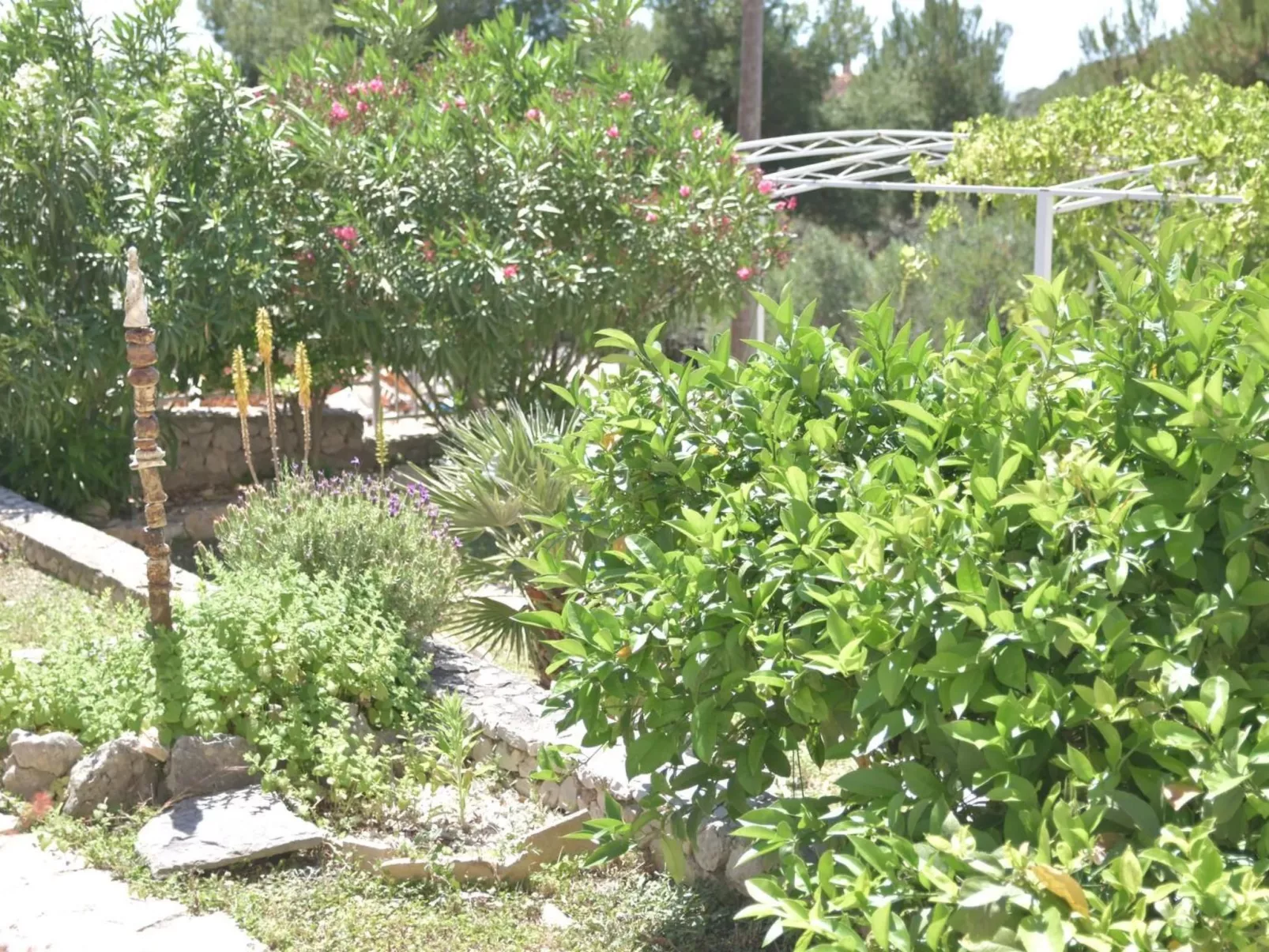 Garten Bungalow-Draußen