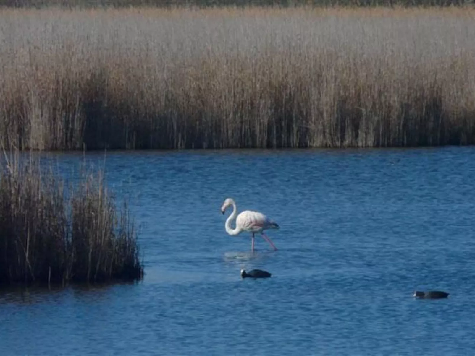 Wohnung mit Balkon-Draußen