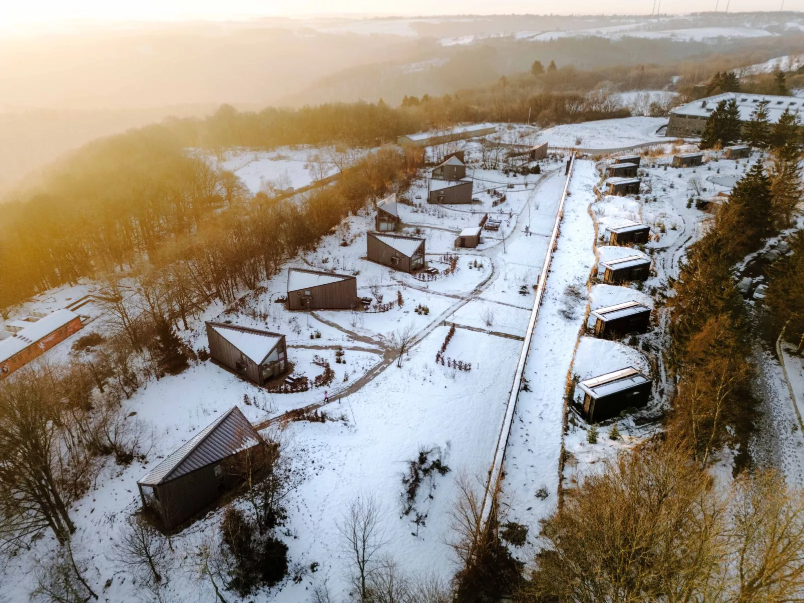 (7) Style 2 Hund-Draußen