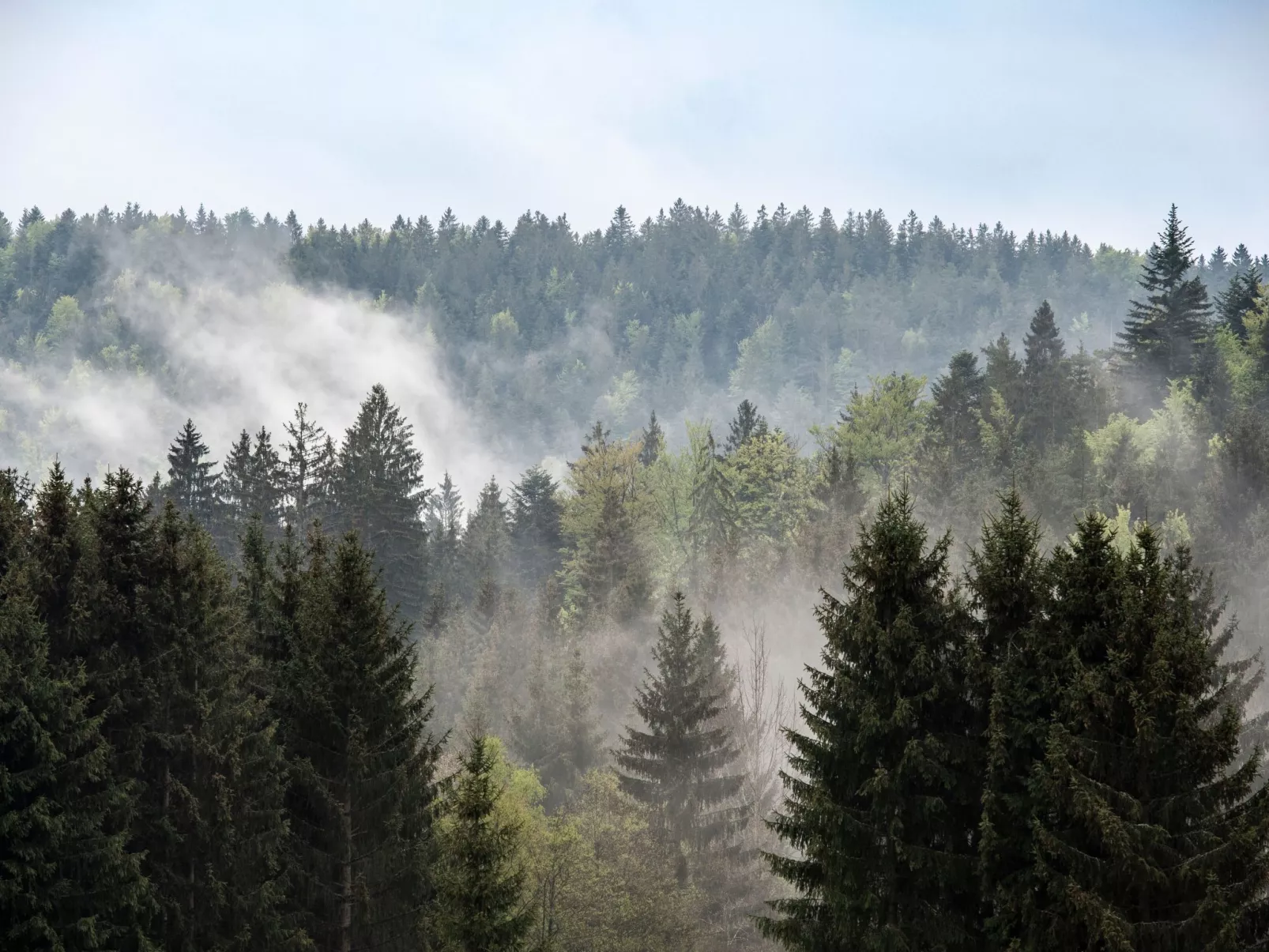 Exklusive Ferienwohnung mit eigener Sauna-Draußen