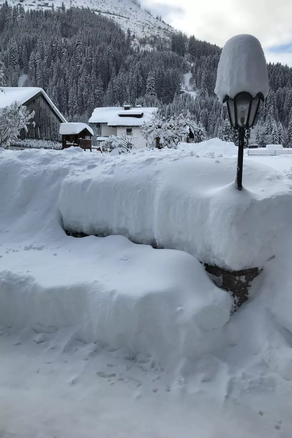 Barbara-Image-tags.info