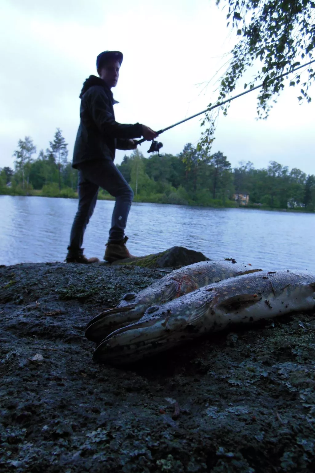 Villa Bullerbü-Draußen