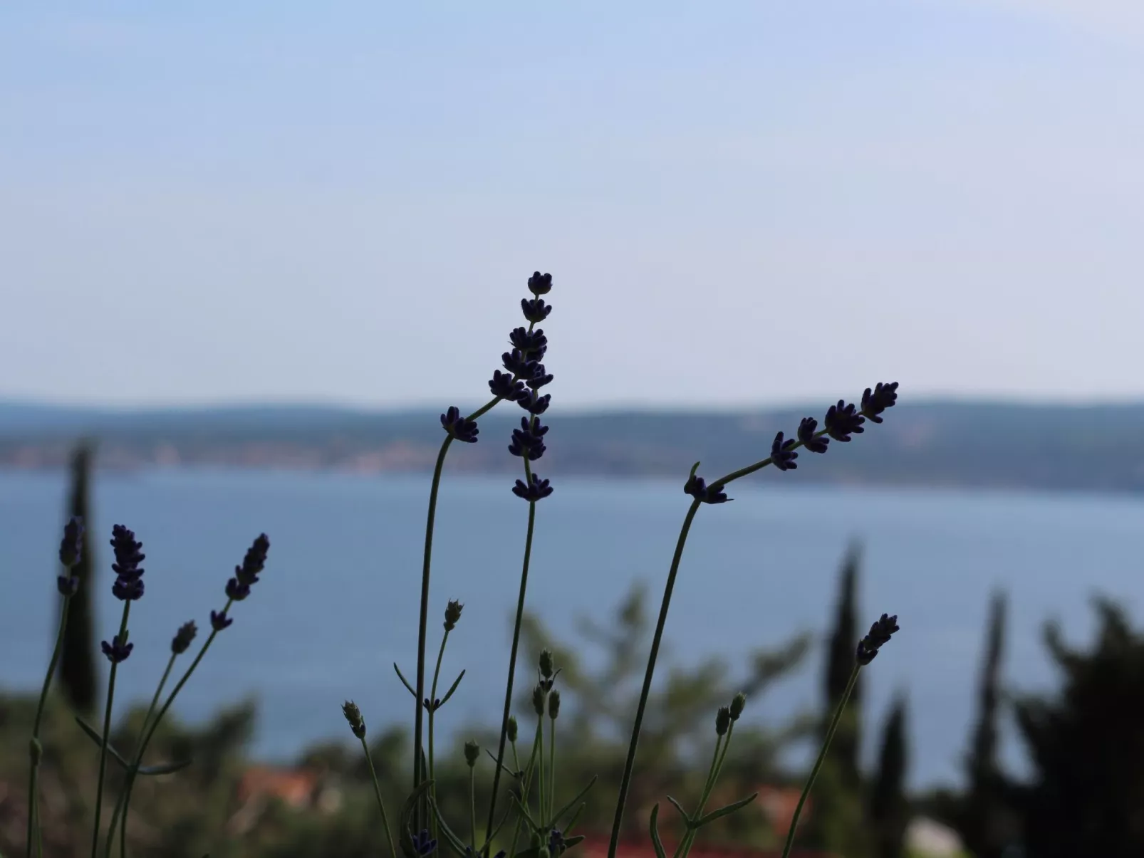 Appartement in Dramalj-Dehors
