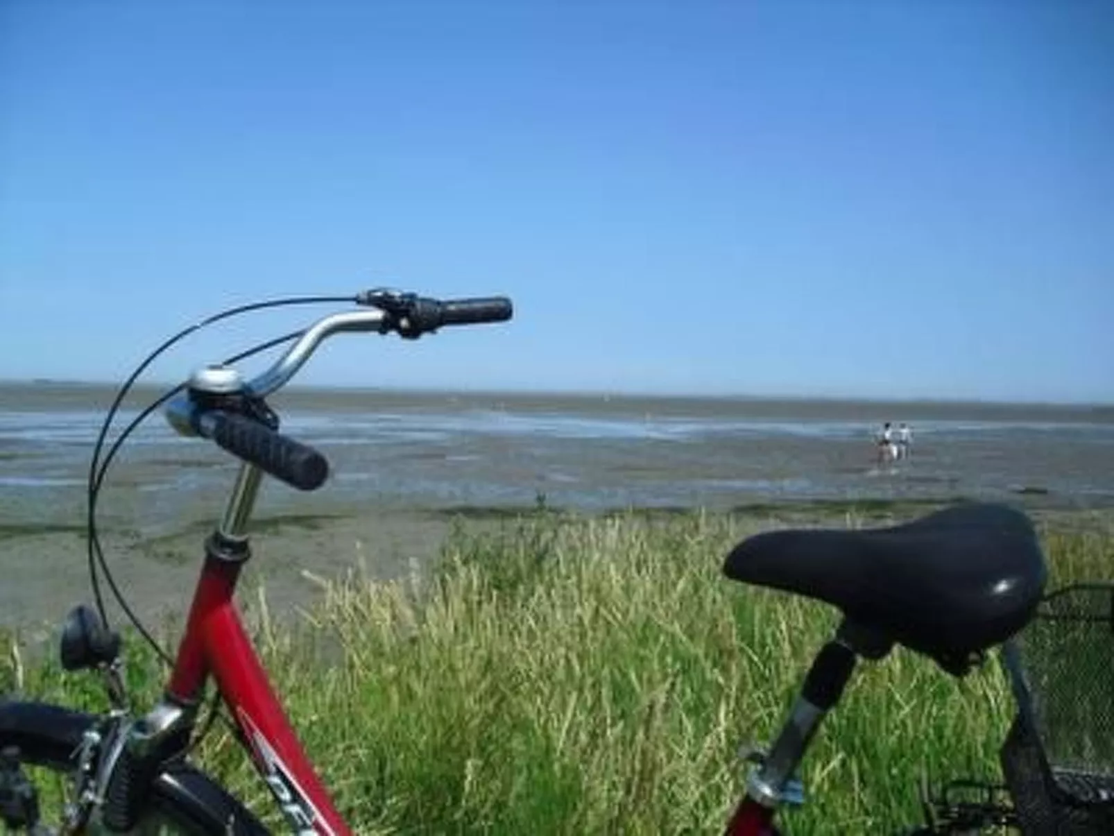 Geräumige Ferienwohnung mit Garten und Grill-Outside