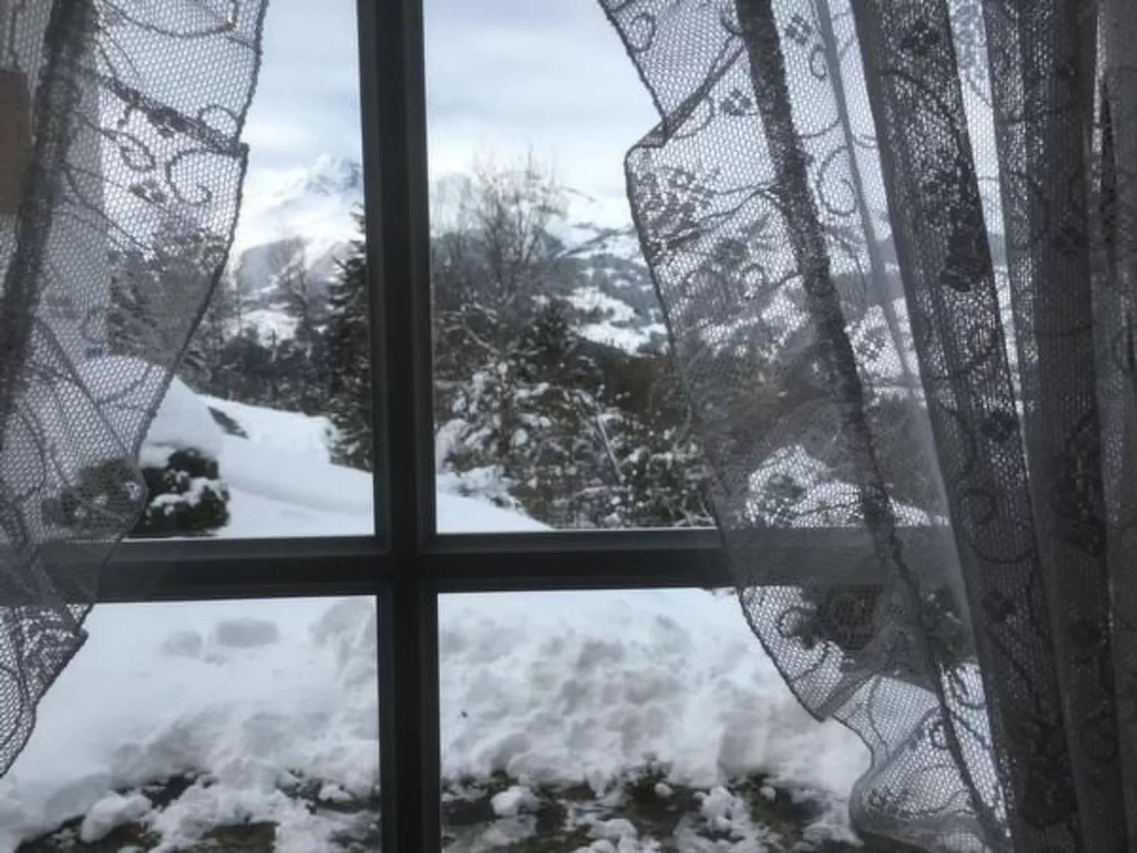 Studio Silberdistel-Outside