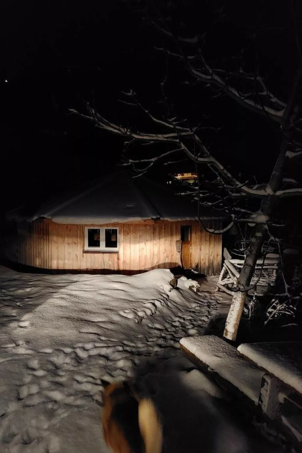 Einzigartige Holzhütte mit Bergpanorama-Dehors