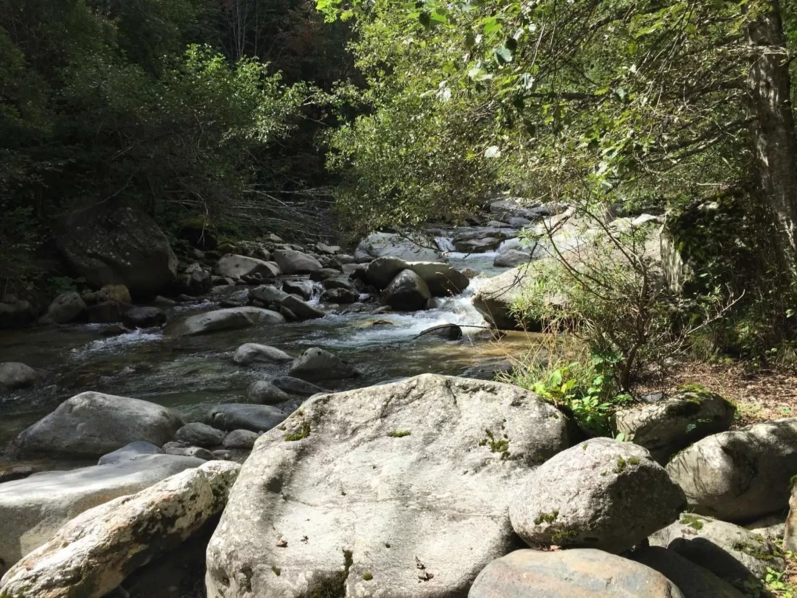 Gemütliche Ferienwohnung im Disentiserhof-Image-tags.info