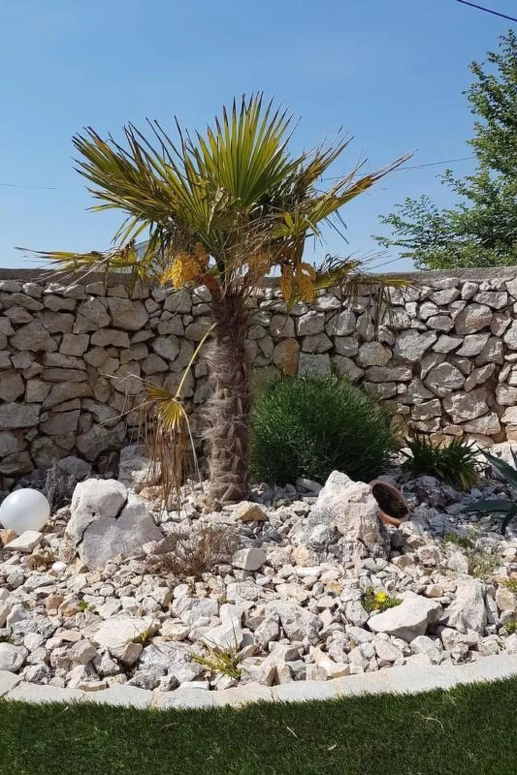 Villa Paradise-Draußen