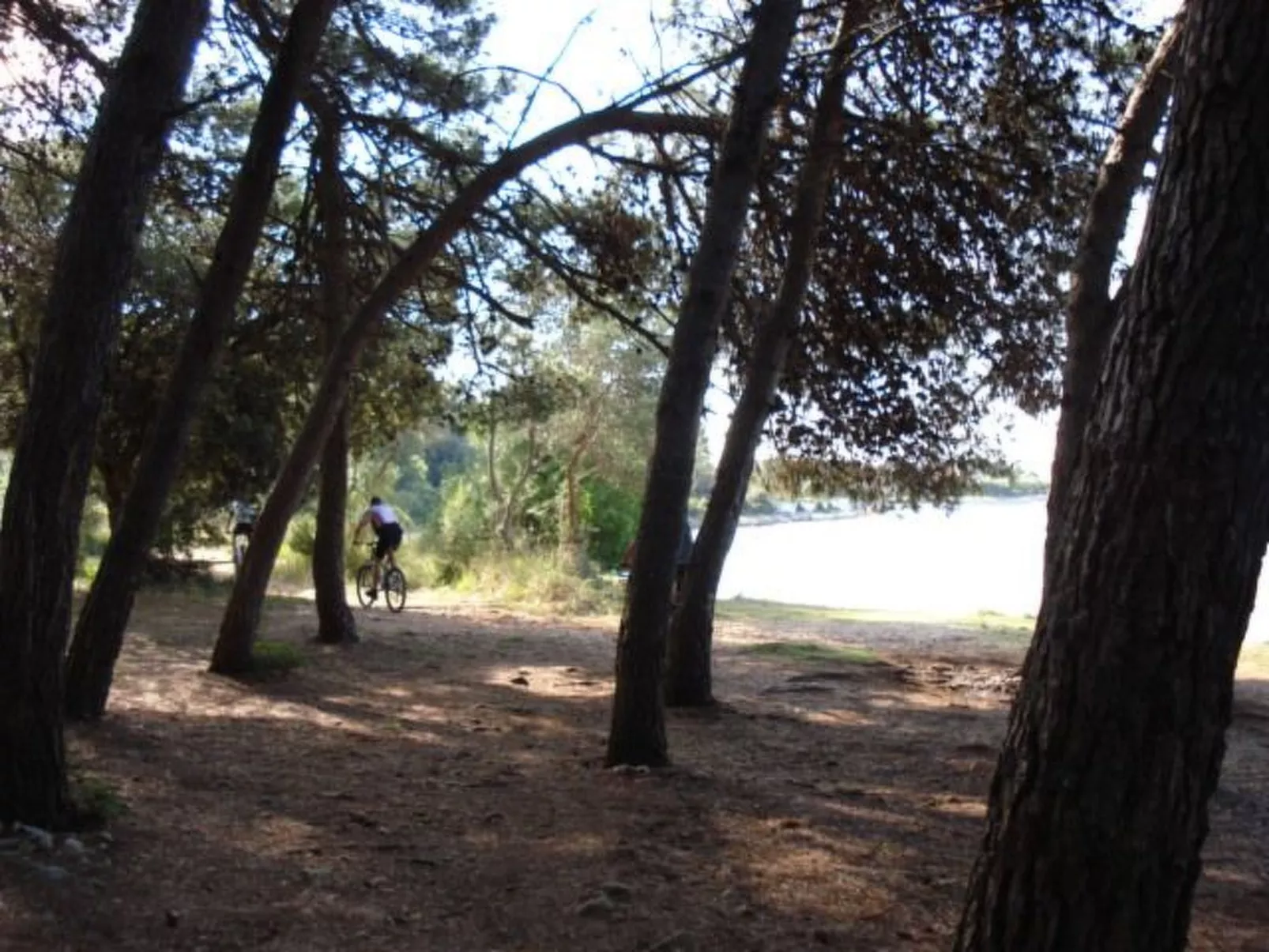 "Dantin" mit Blick auf das Wasser-Draußen