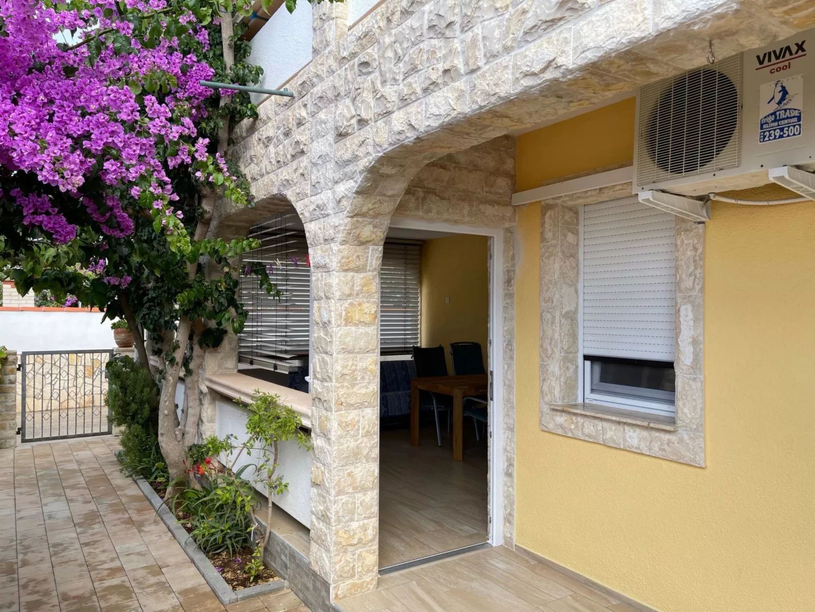 Delfin-Image-tags.info