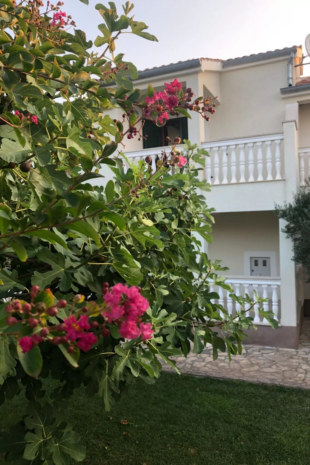 Villa Olive Grove-Outside