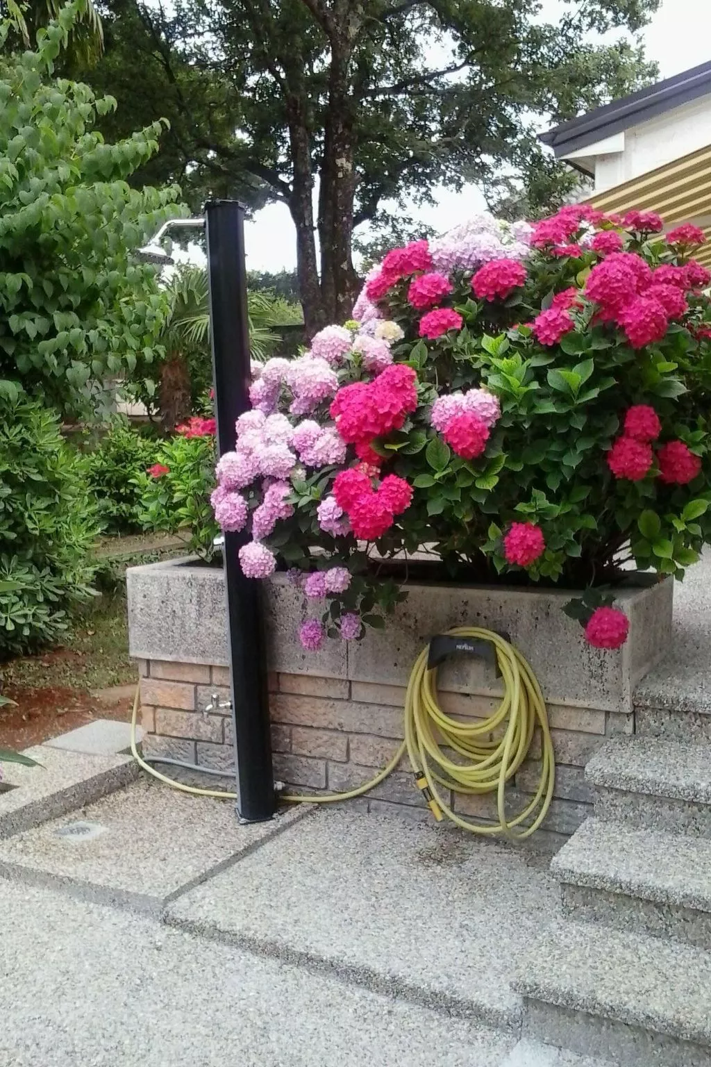 Wohnung "Villa Karmen" direkt am Strand-Draußen