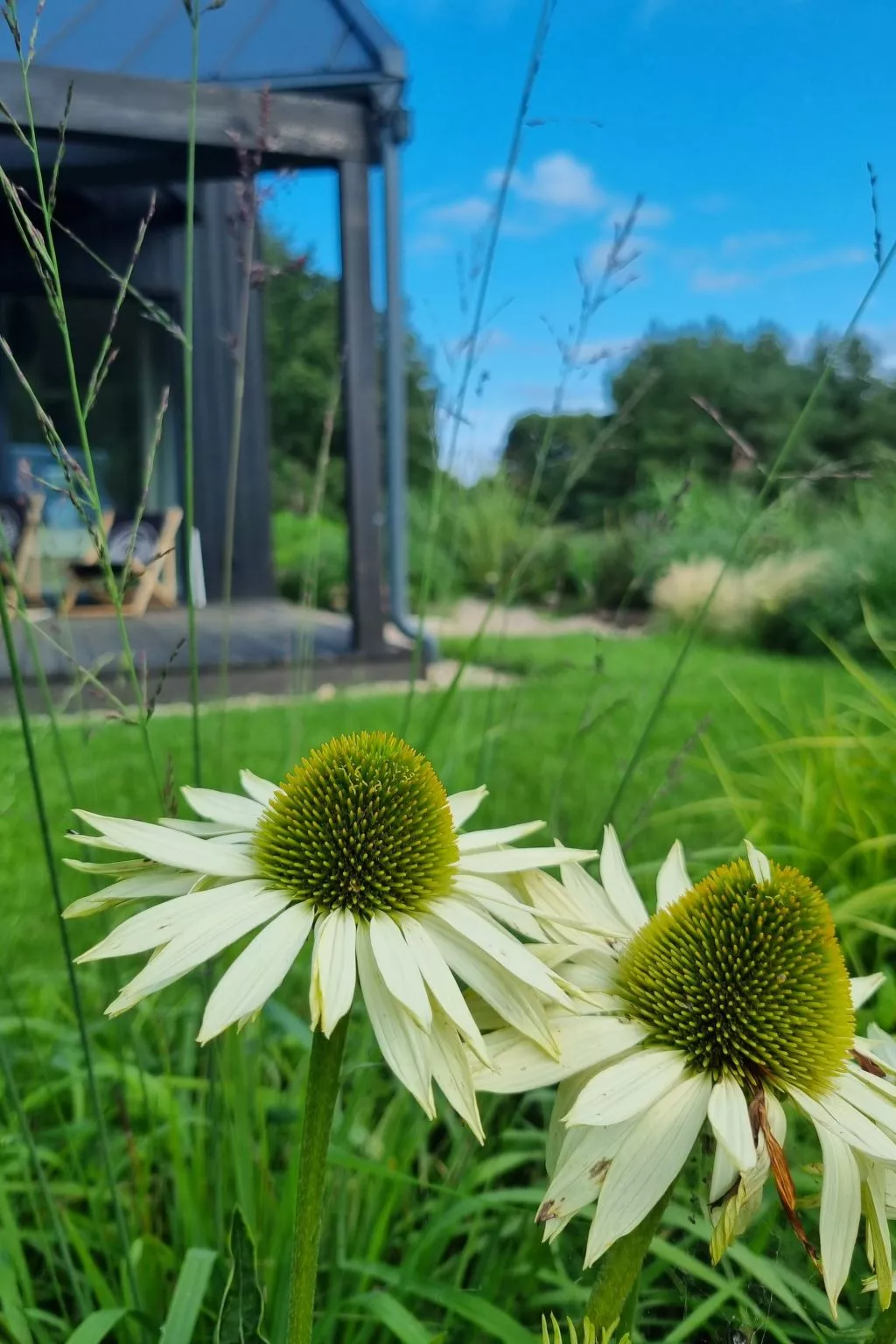Lublewo21 Ferienhäuser - Draußen