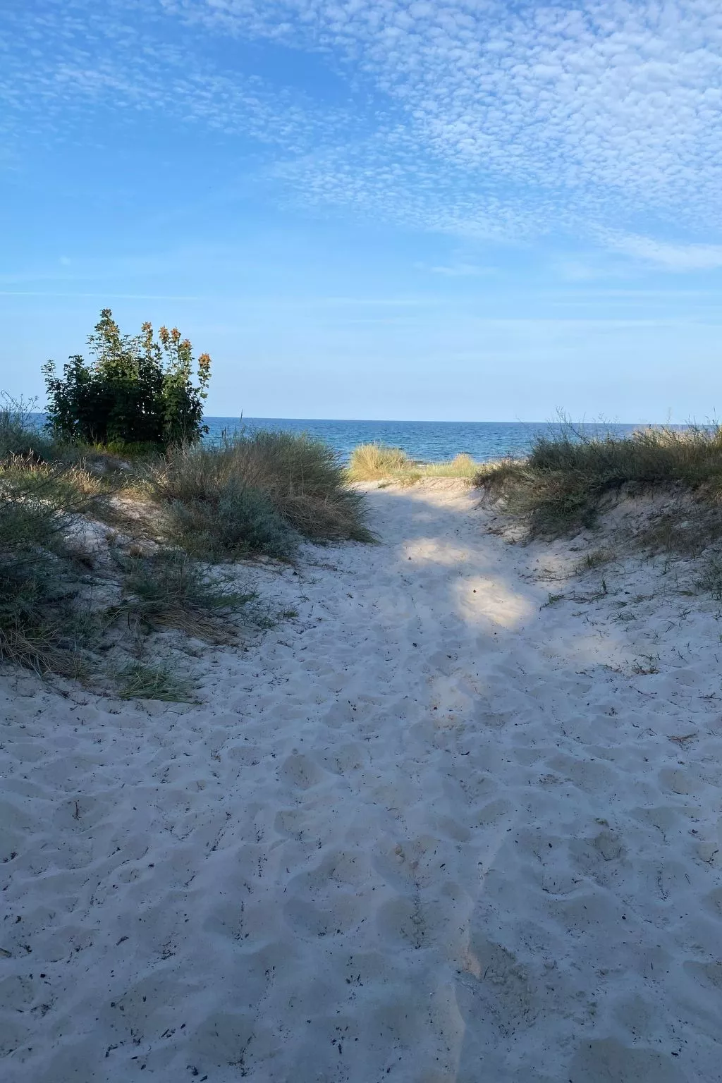 Boot-Image-tags.info