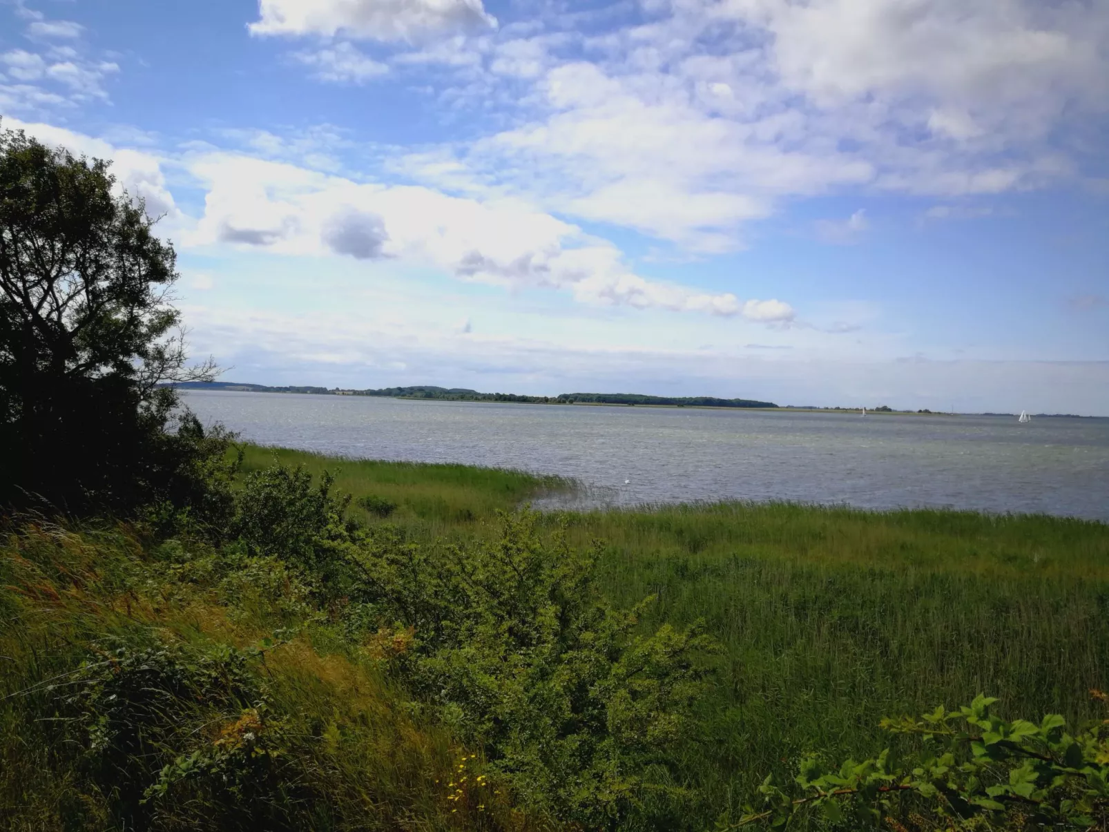 Toddy - Auszeit für Körper und Seele-Dehors