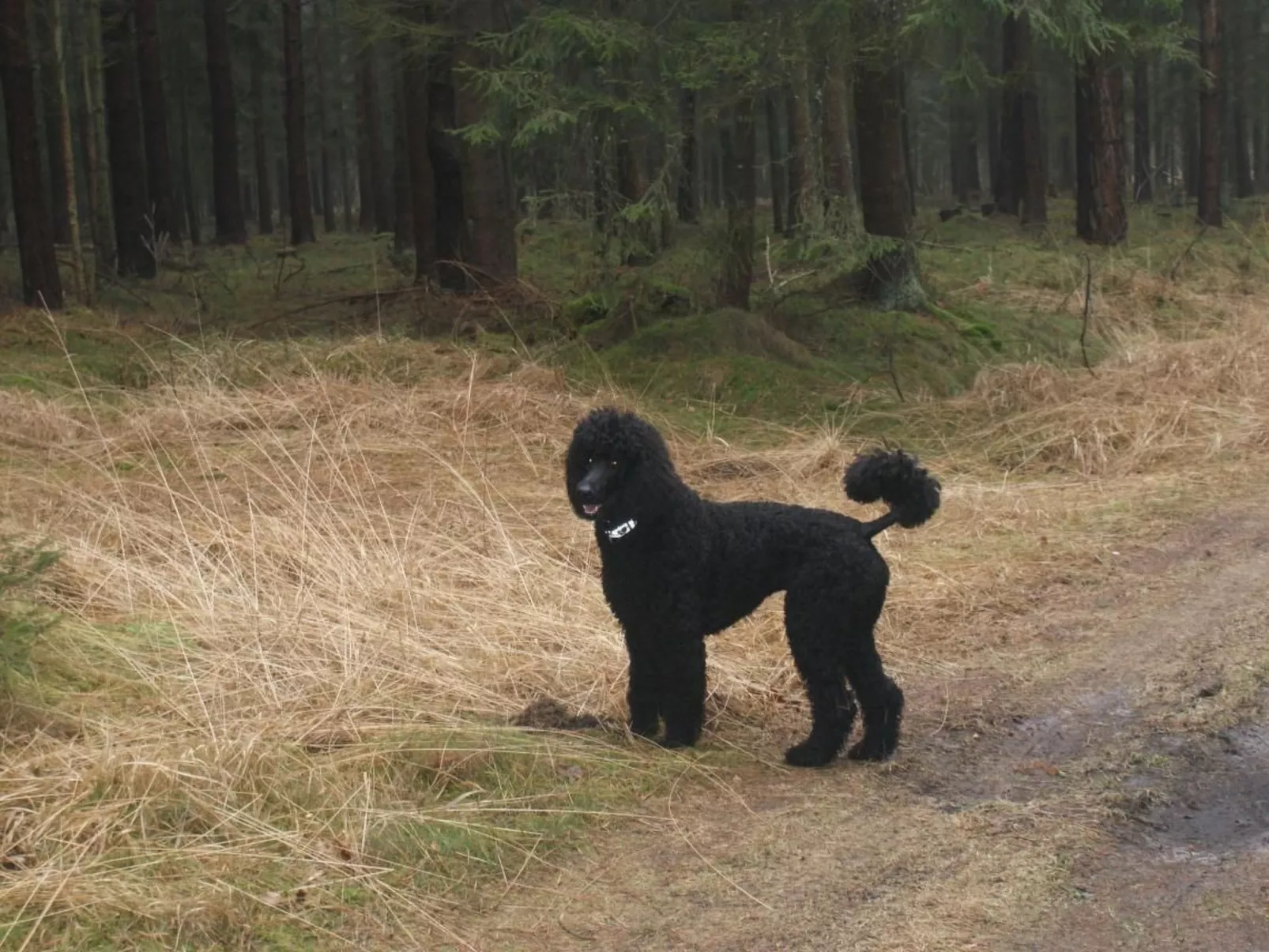 Fünfjahreszeiten in Bodstedt-Dehors