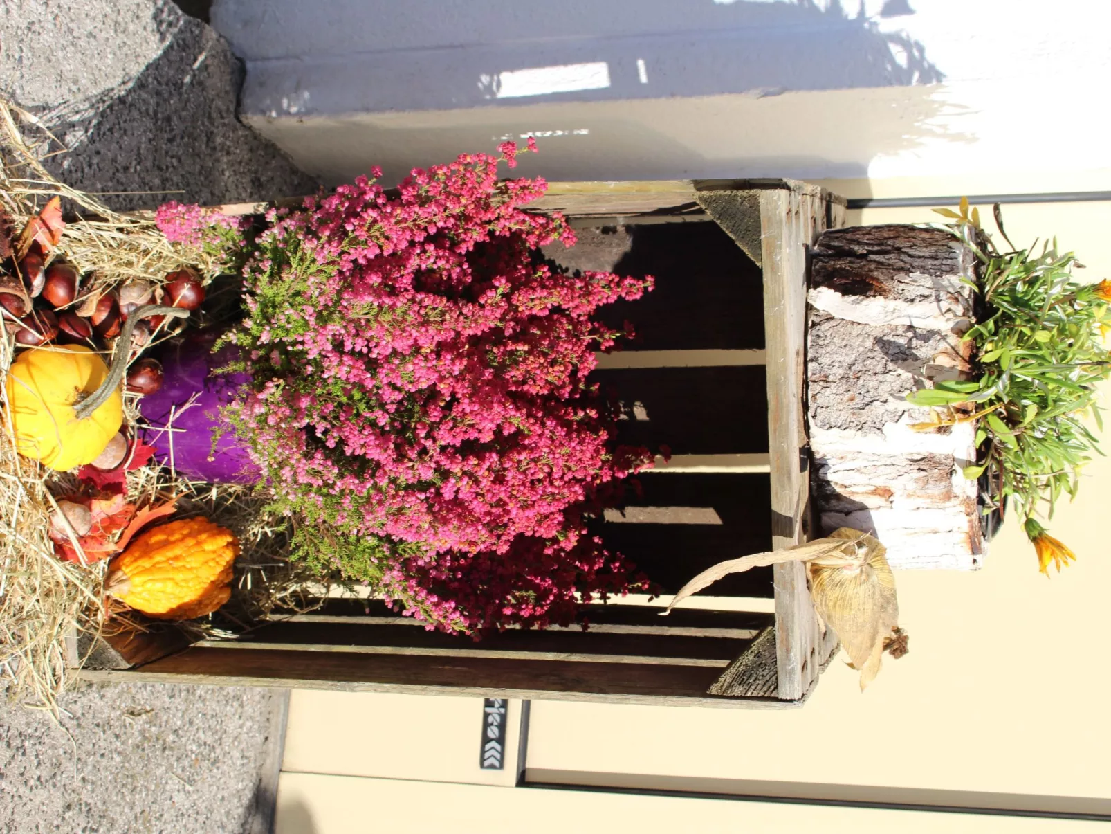 Kleine Auszeit-Dehors