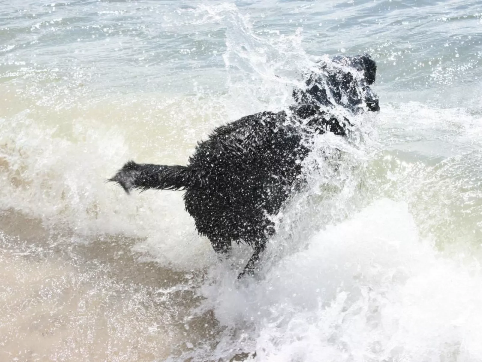 Niedliches Schwedenhaus.-Image-tags.info