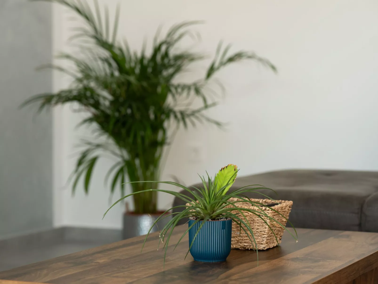 Moderne Villa bei Barban-Inside