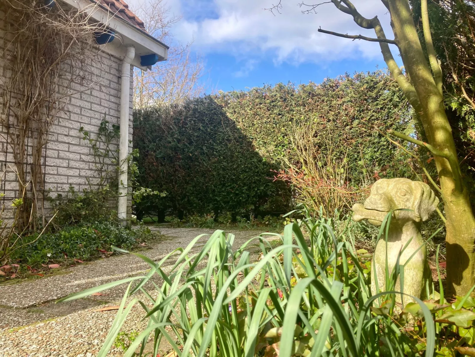 120 Dijkrose-Draußen