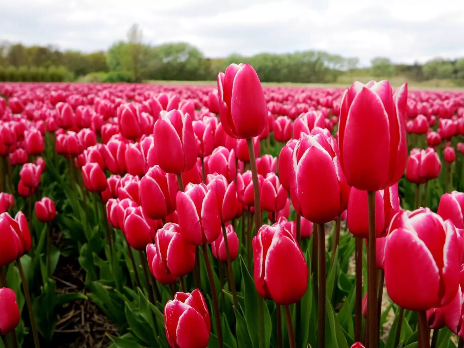 Sommerhaus Klein Wimmenum, Nähe Strand und Dünen-Image-tags.info