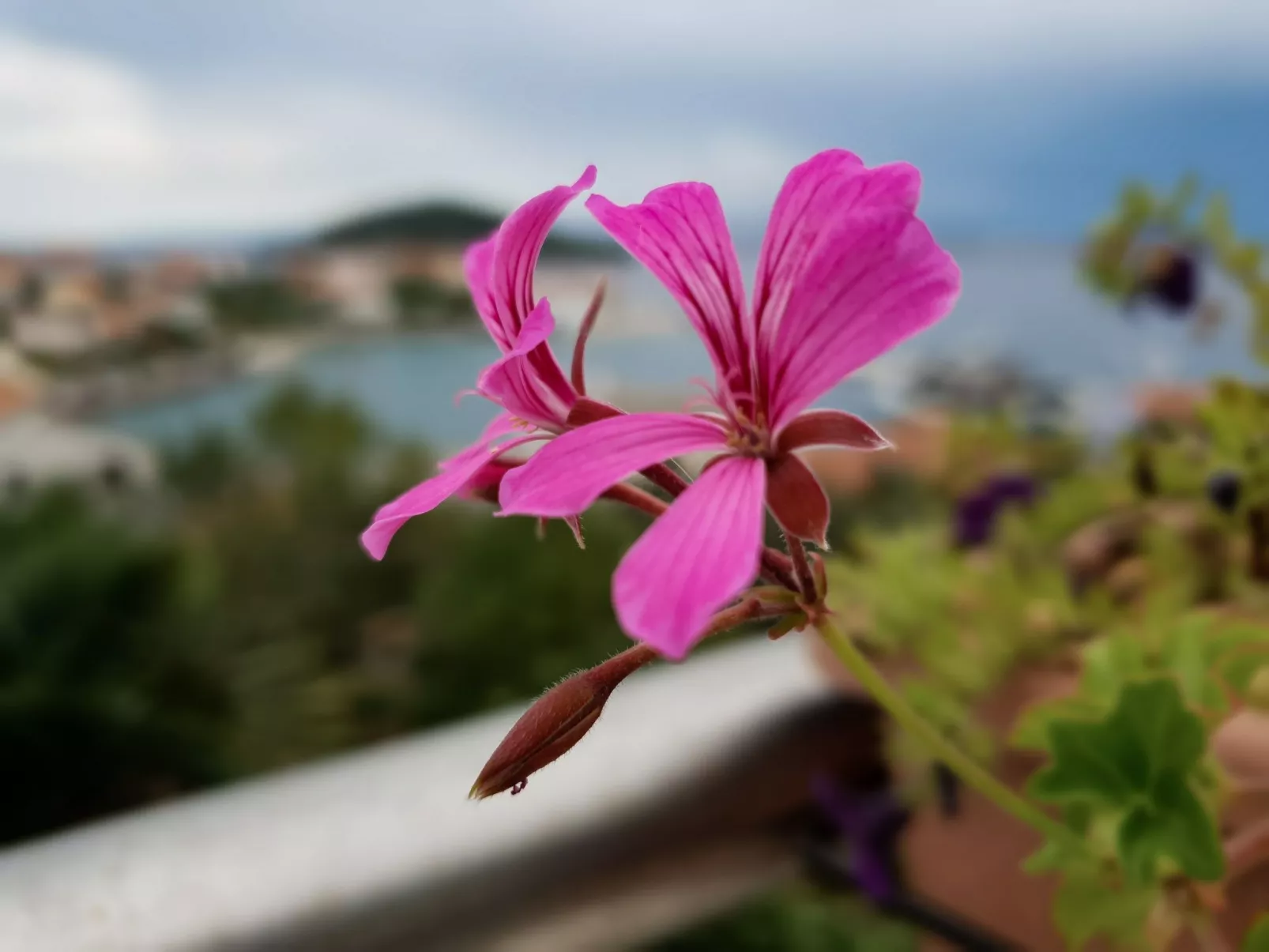 "Villa Franov" mit privatem Pool-Image-tags.info