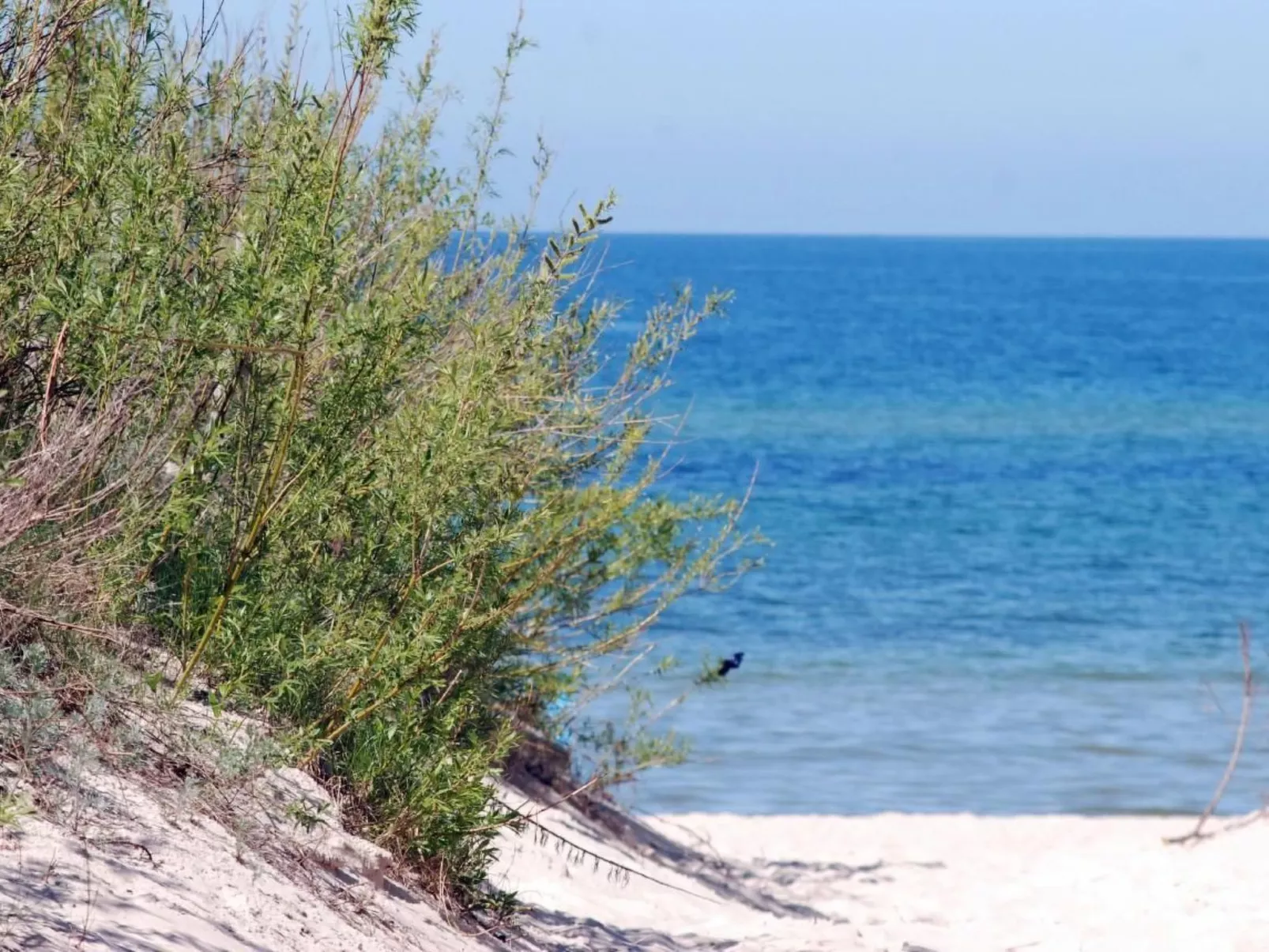 Stilvolles Haus ganz nah am Meer-Dehors