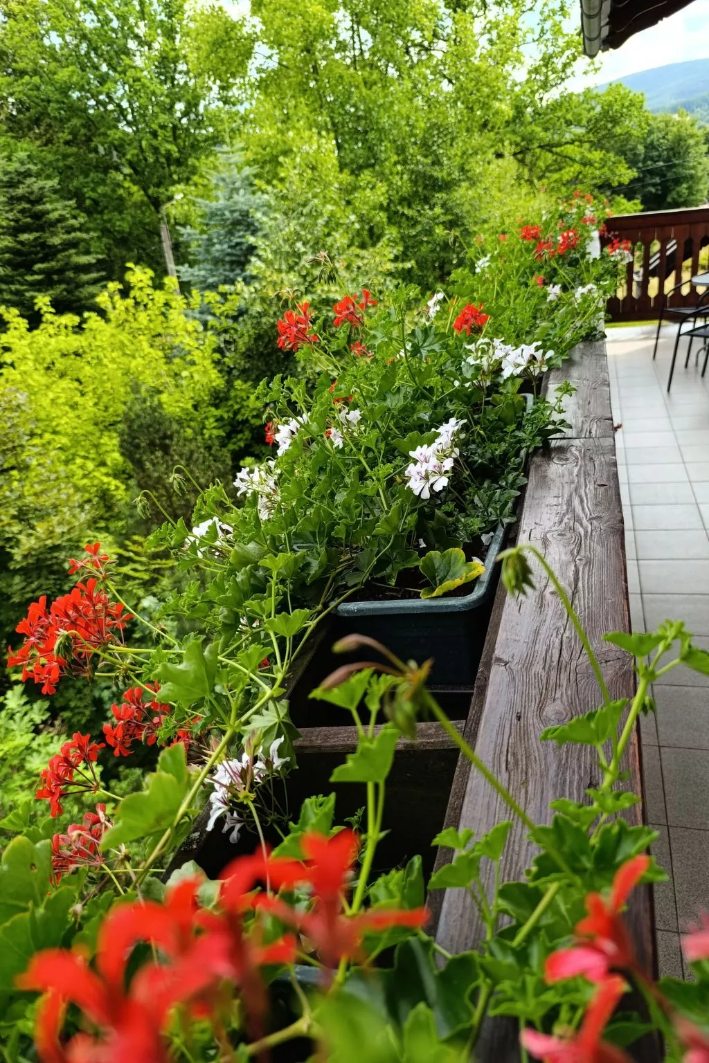 Wohnung Nr. 1-Dehors