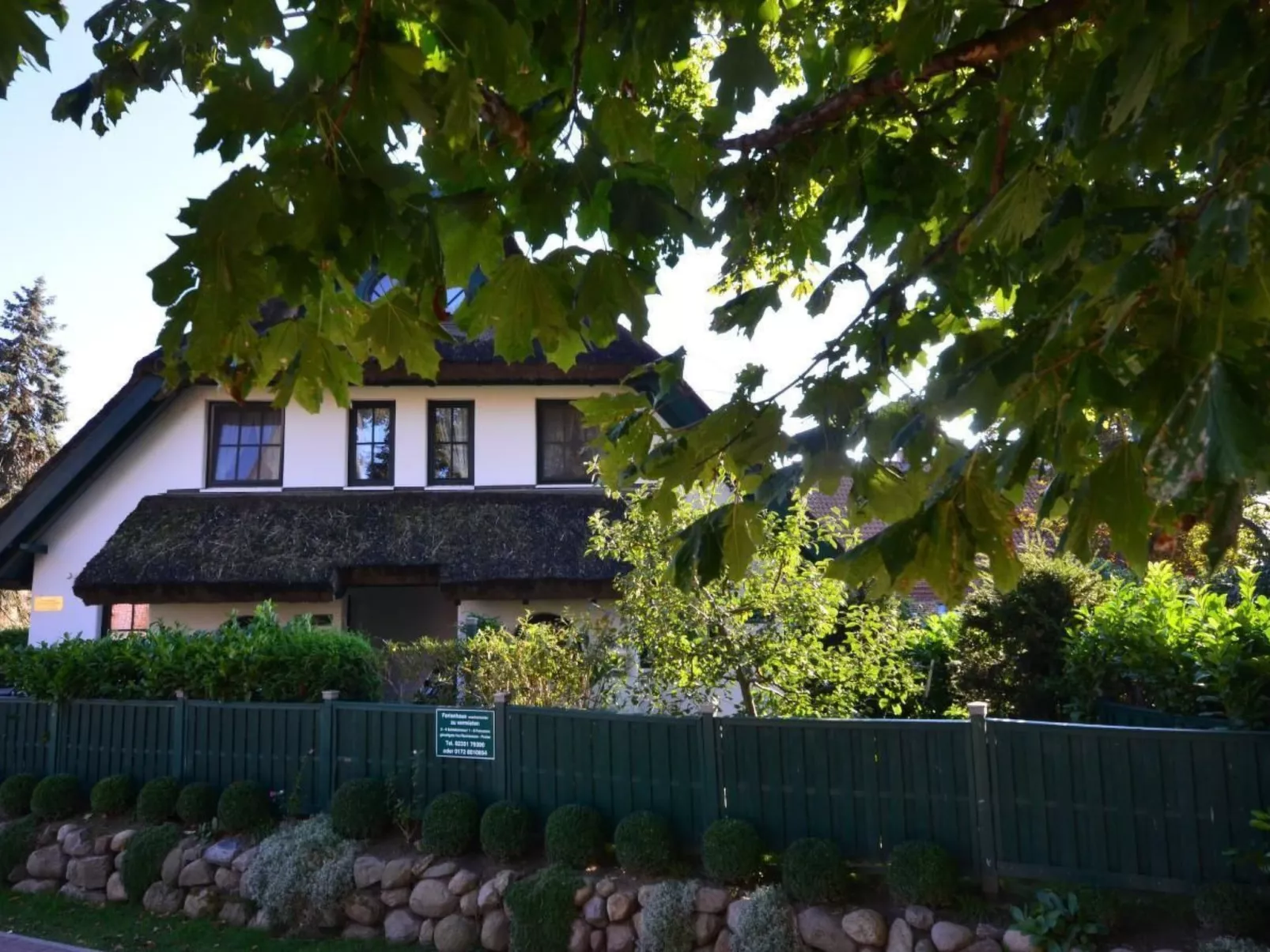 Haus Strandflieder-Dehors