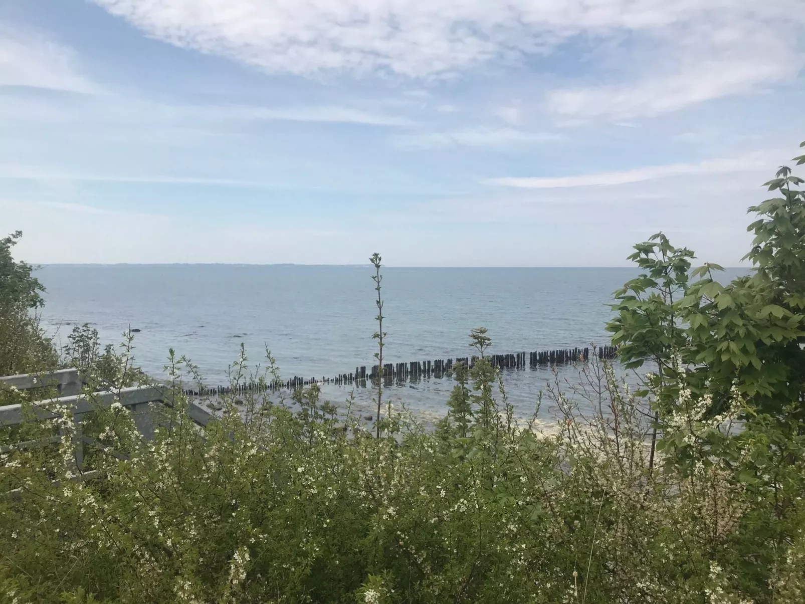 Reethaus Vera am Meer mit Sauna und Kamin-Dehors