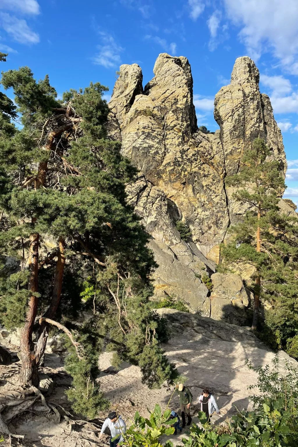 Fewo Burgbergblick-Outside