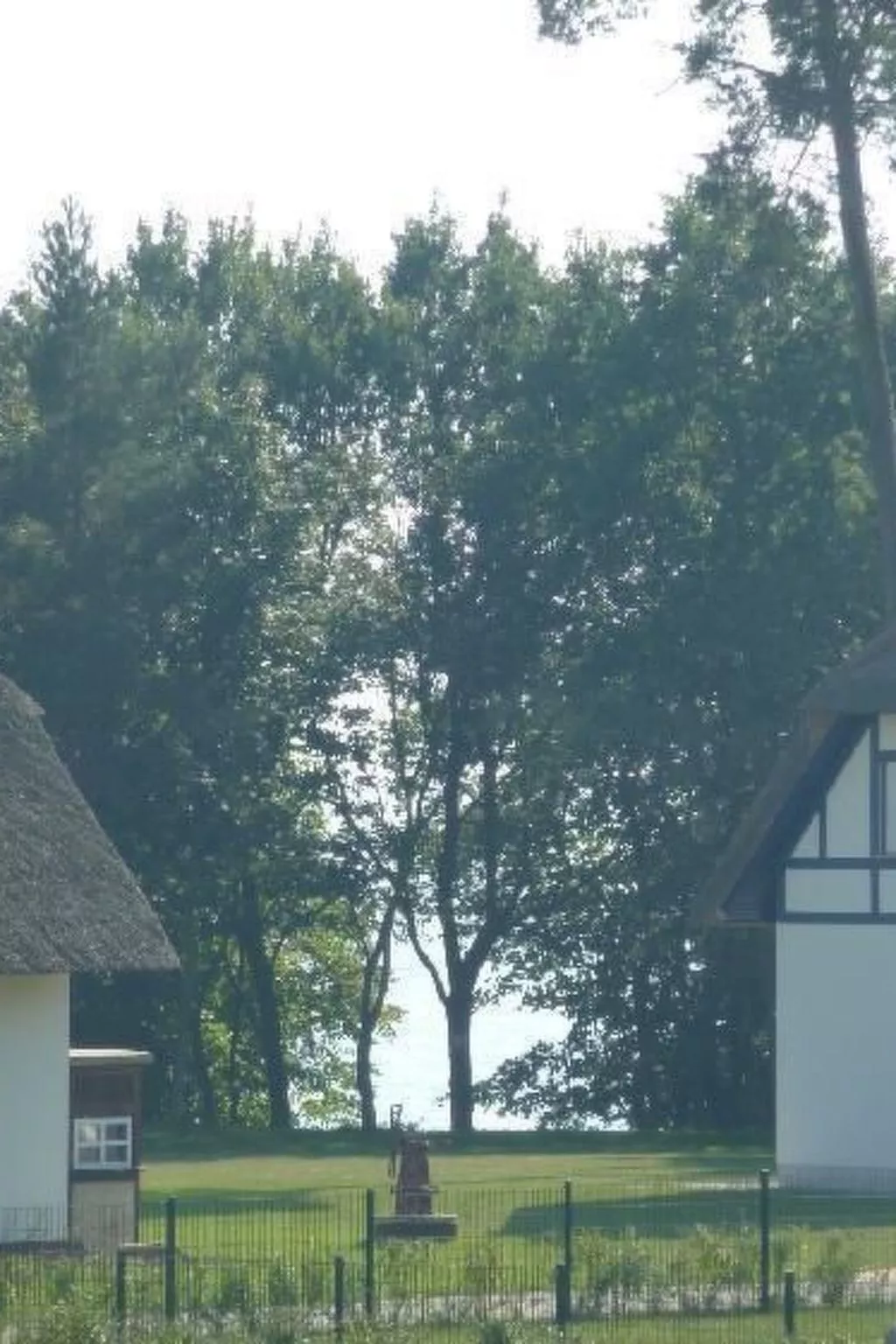 Am Haff-Image-tags.info