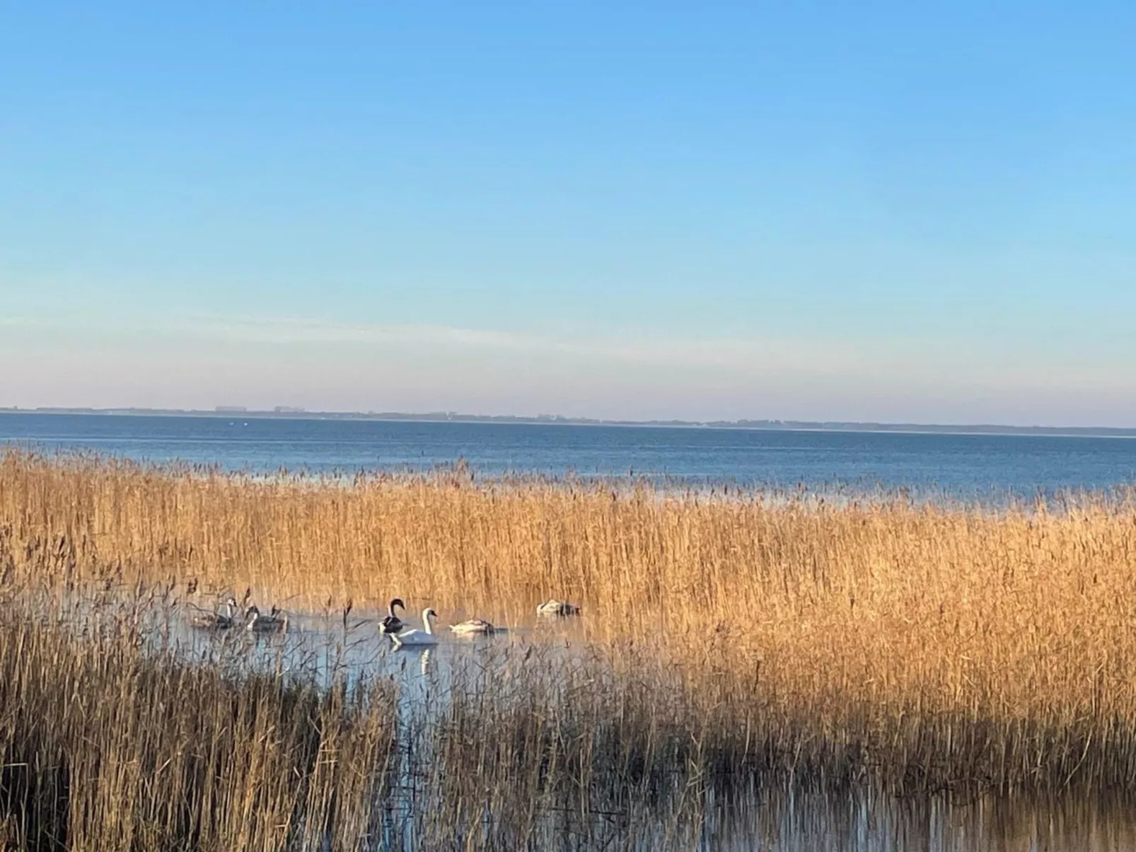 Haus Saaler Bodden-Draußen