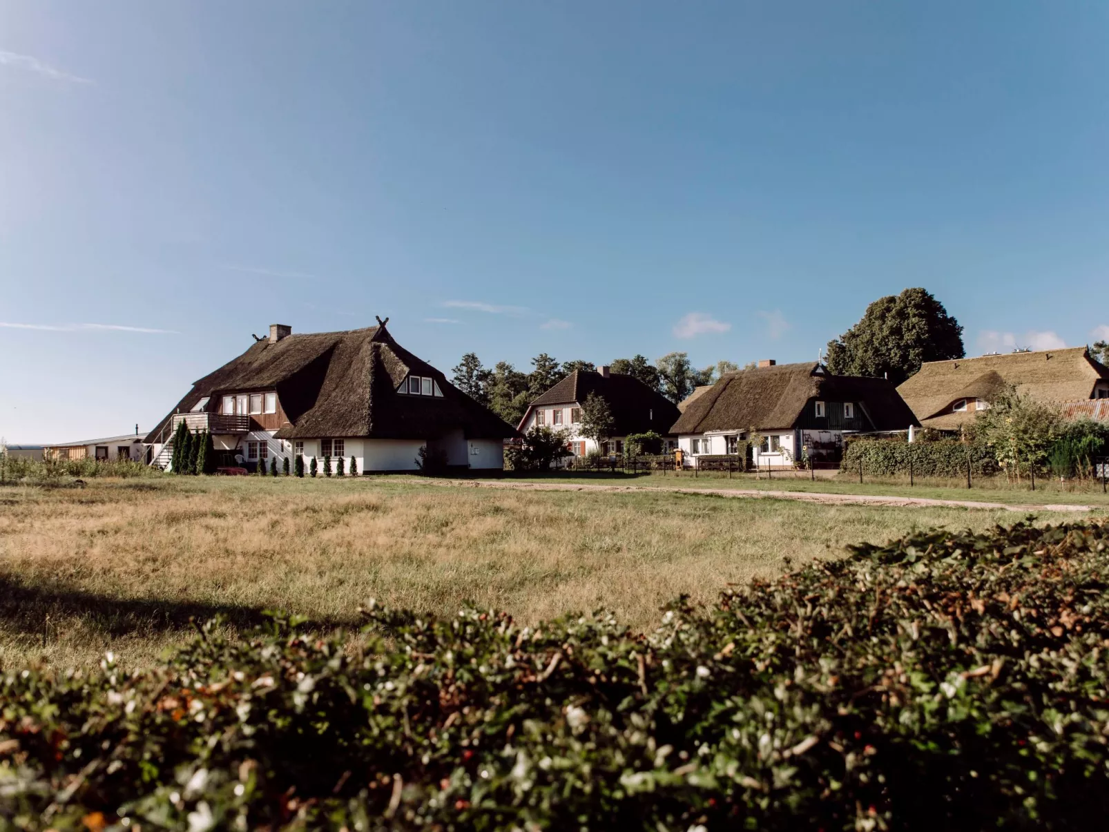 Admiral's Cor. Gulet-Draußen