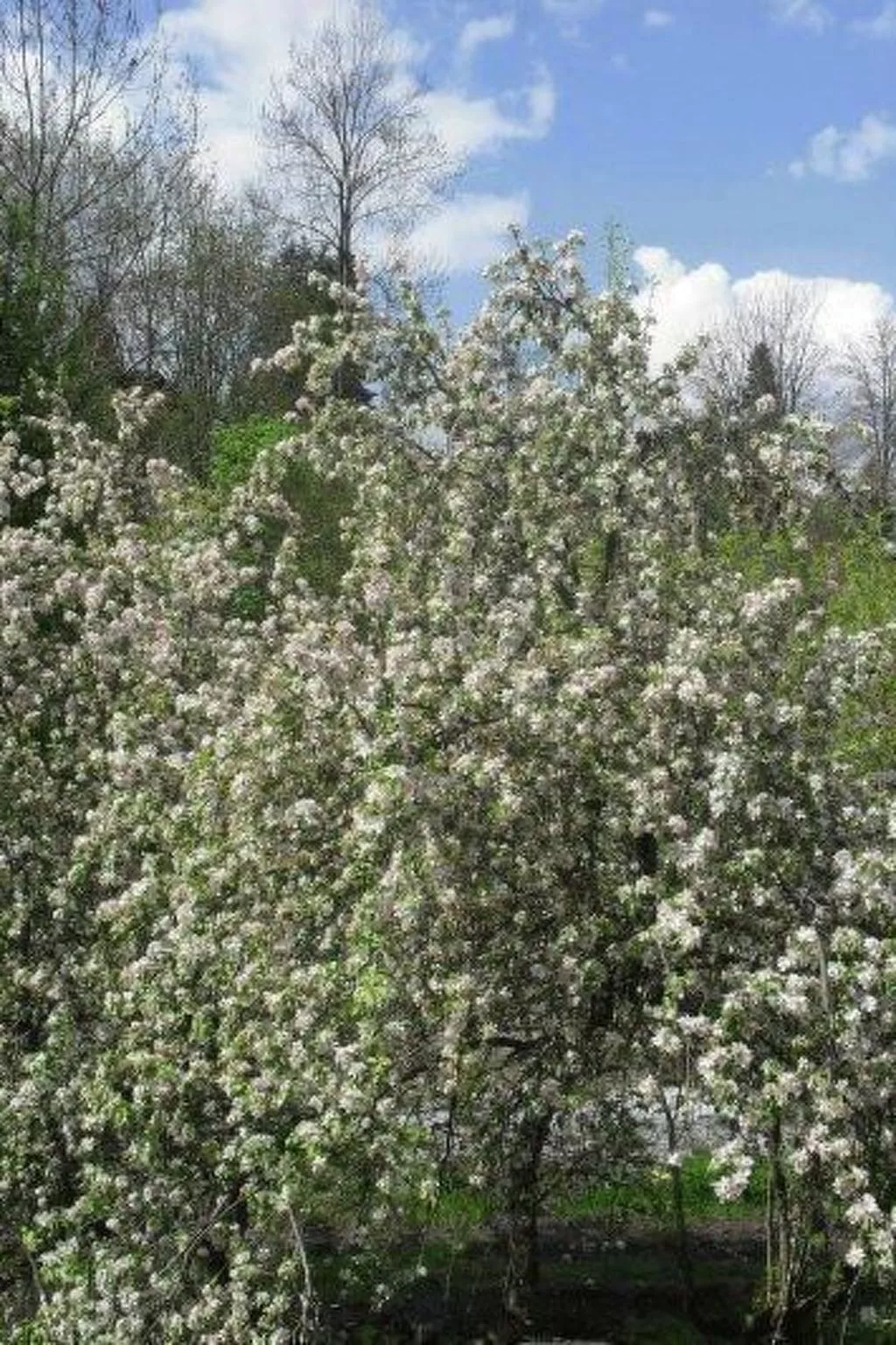 Sonnenbichl Wh 102-Outside