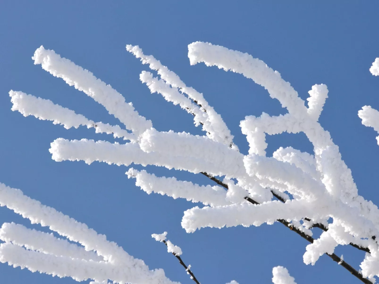 Wohnung in Hohegeiß mit Grill und Garten-Draußen