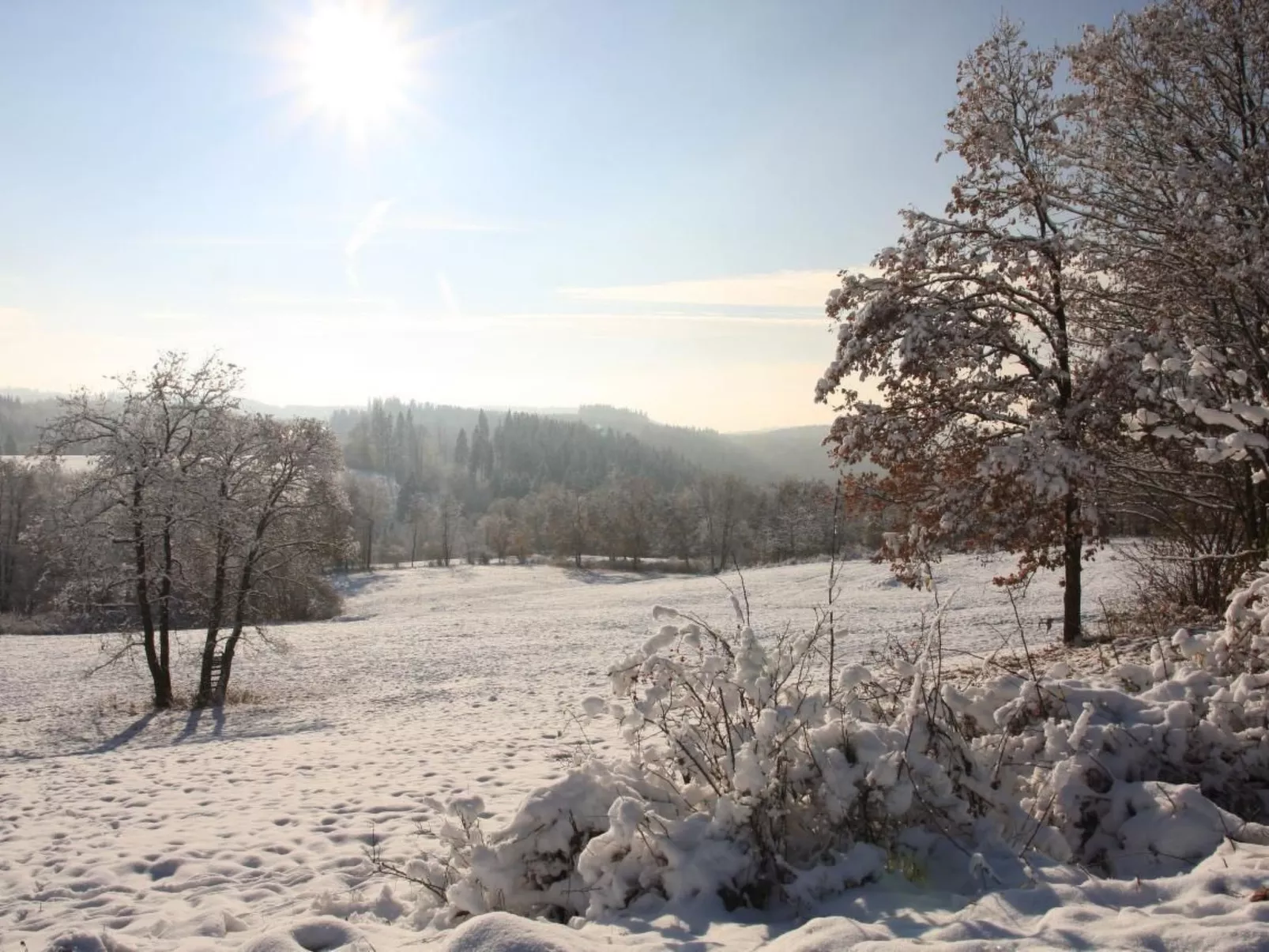 Urlaubsdomizil-Harz-Dehors
